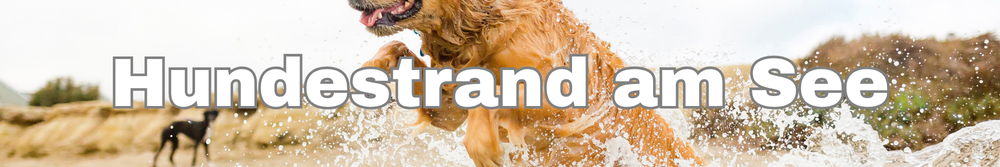 Der Hundestrand am Untreusee Der Hundestrand am Untreusee